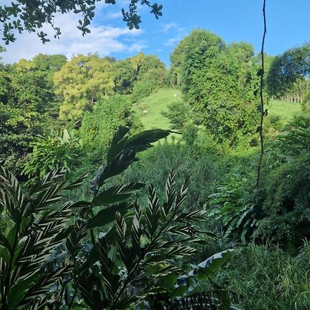 ホテル Dome En Bord De Riviere サン・クロード エクステリア 写真