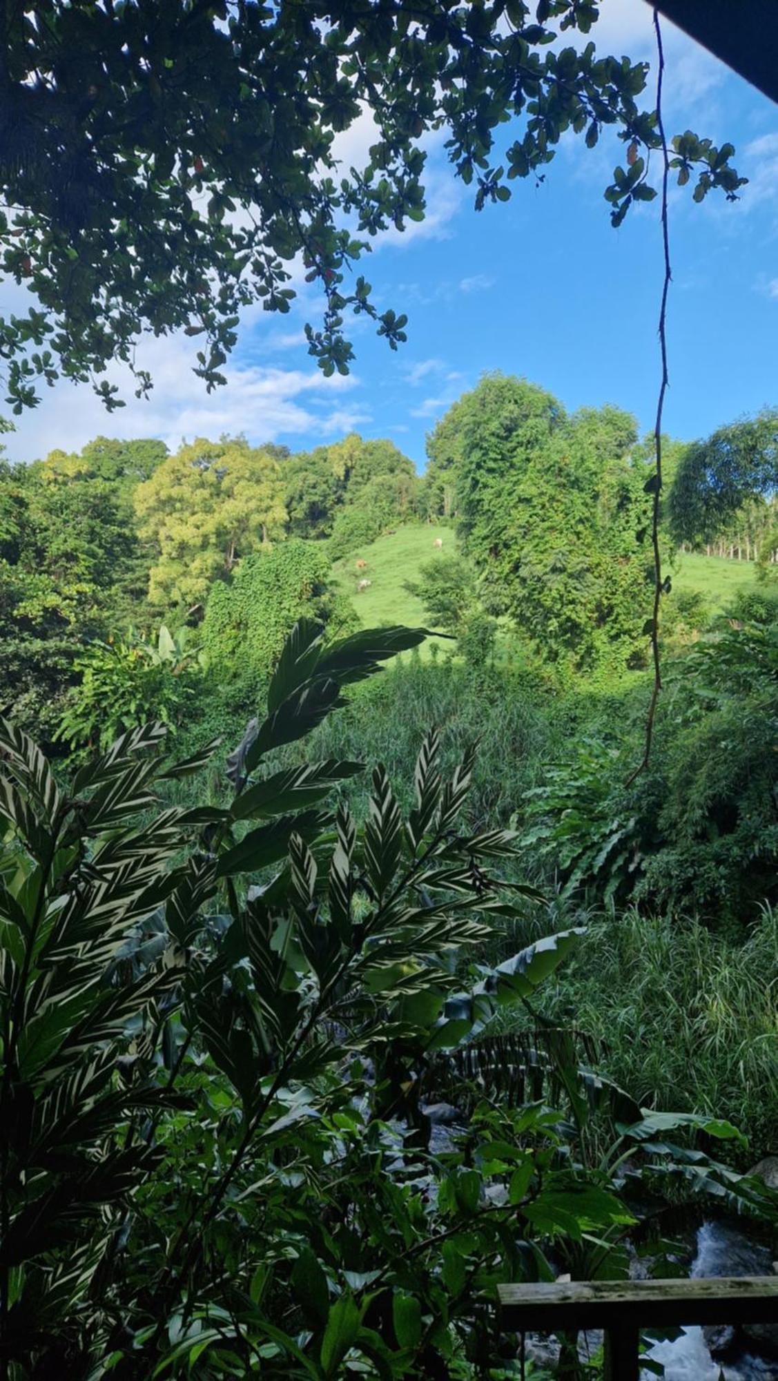 ホテル Dome En Bord De Riviere サン・クロード エクステリア 写真